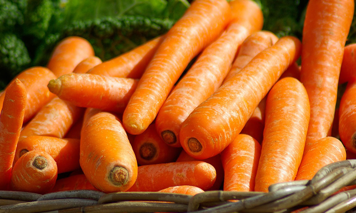 Beneficios de consumir zanahorias para nuestra salud